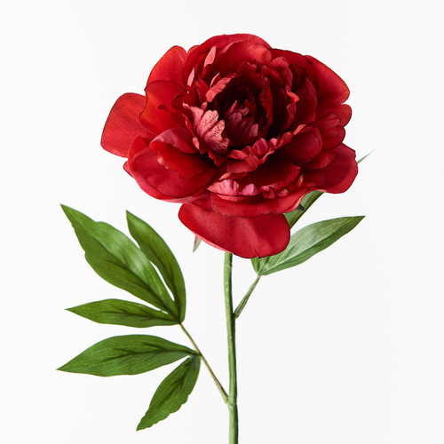 Silk Peony FI9478RD