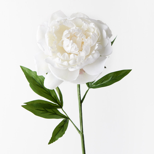 Silk Peony FI9478WH