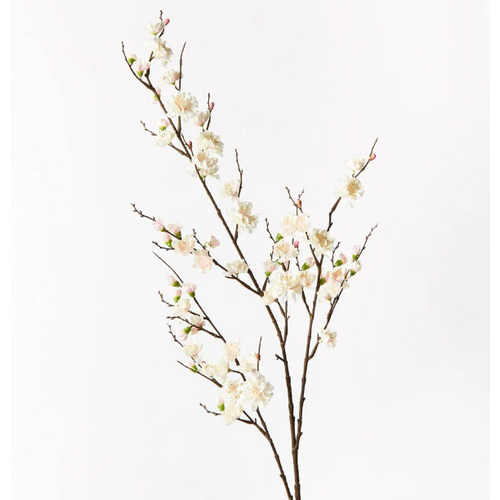 Blossom Plum FI9510CP