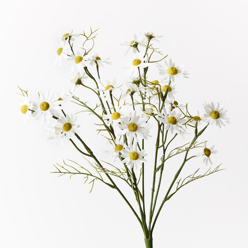 Daisy Bush FI9513WH