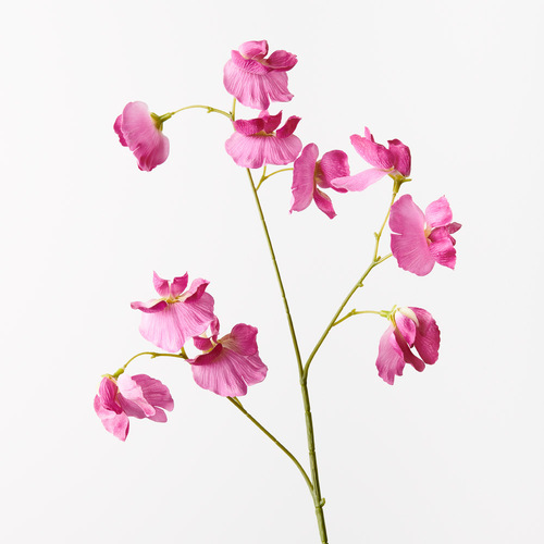 Real Touch Sweet Peas FI9567FU