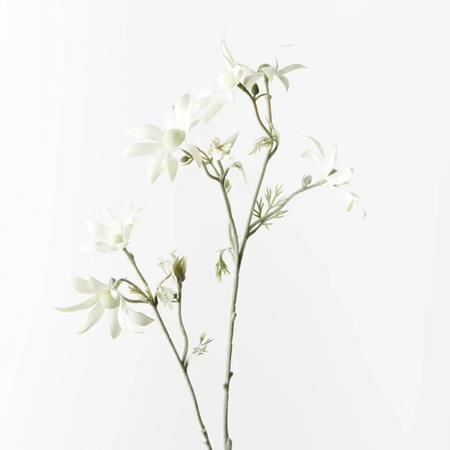 Flannel Flower Spray FI9670CG