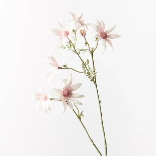Flannel Flower Spray FI9670LP