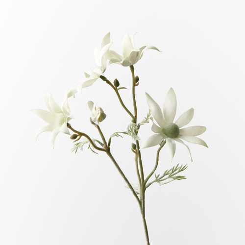 Flannel Flower Pick FI9671CG