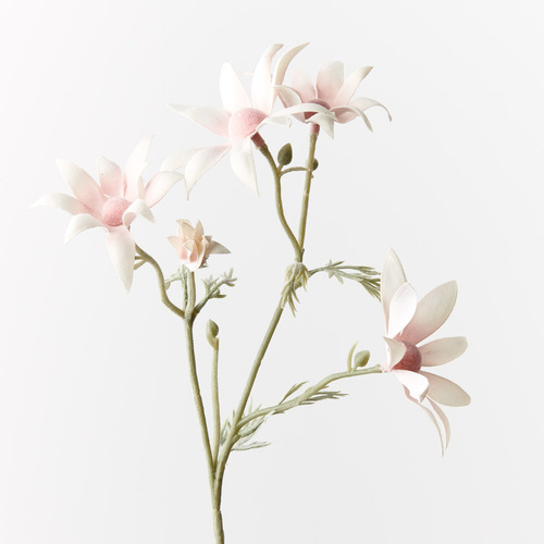 Flannel Flower Pick FI9671LP