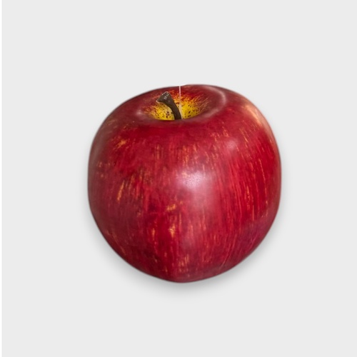 APPLE FI9699RD
