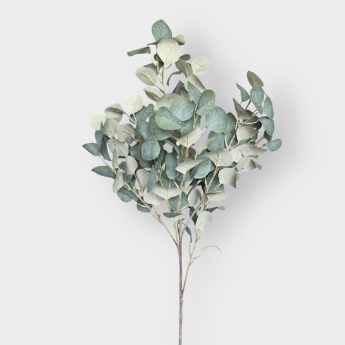 Eucalyptus Spray FI9719GR