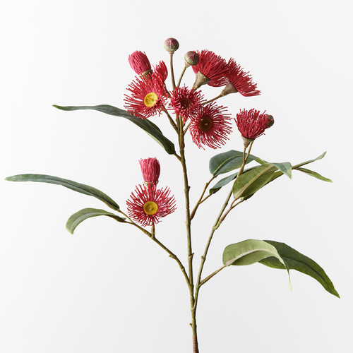 Flowering Eucalyptus Spray FI9746RD
