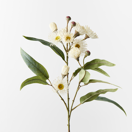 Flowering Eucalyptus Spray FI9746WH