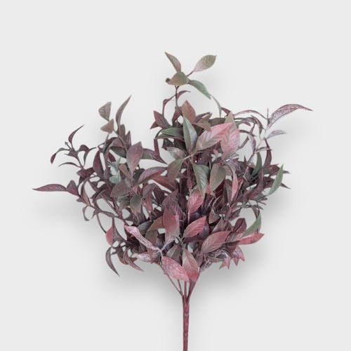 Ruscus bush FI9771BU