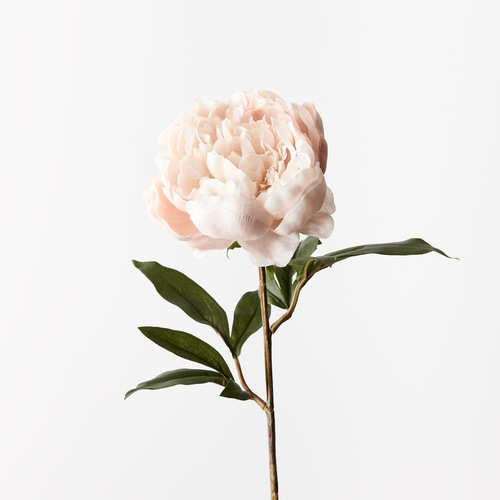 Silk Peony FI9783CR