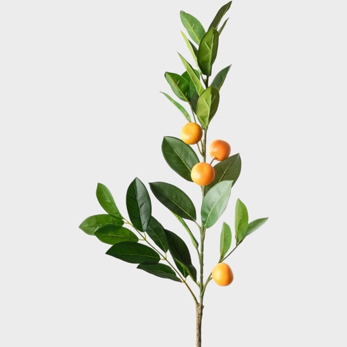 Orange Spray FI9976OR