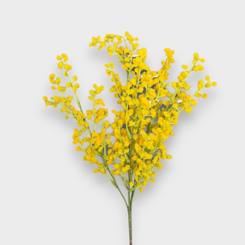 Wattle Bush FI9978YE