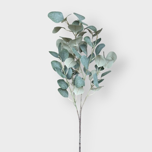 Eucalyptus Spray FI9986GR
