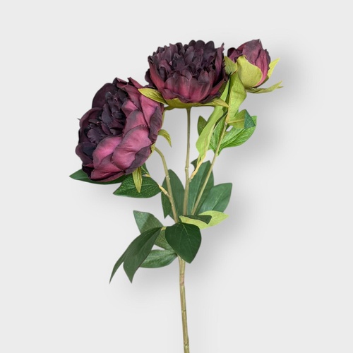 Peony Spray Bunch FS026BU