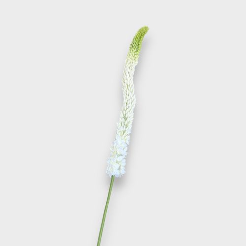 Foxtail Lily Stem FS063GNWH