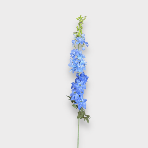 Delphinium Stem FS064BL