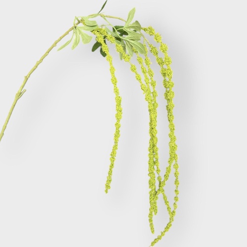 Amaranthus Hanging Spray Green FS097GN