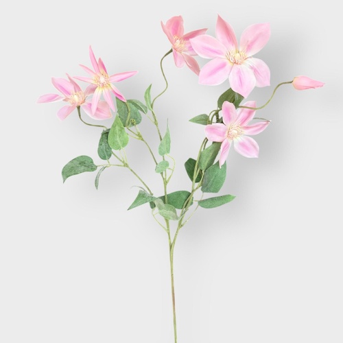 Clematis Flower Spray FS100PK