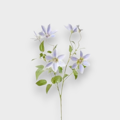 Clematis Flower Spray FS100PU