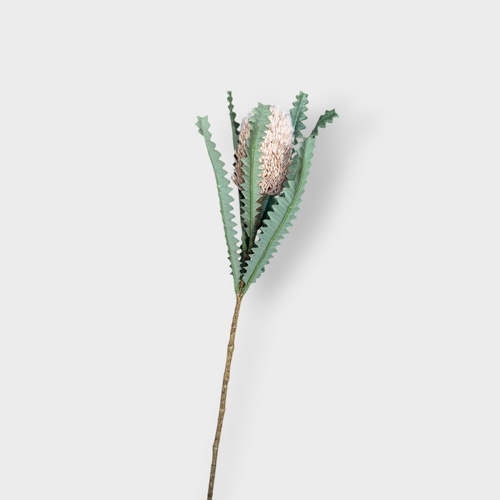 Banksia Stem FS103BE