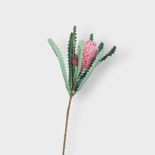 Banksia Stem FS103DYPK