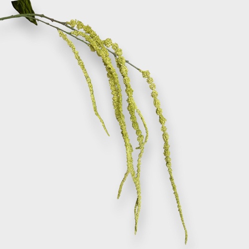 Amaranthus Hanging FS105GN