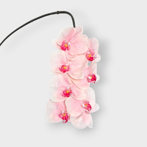 Phalaenopsis Orchid Stem FS124SFPK