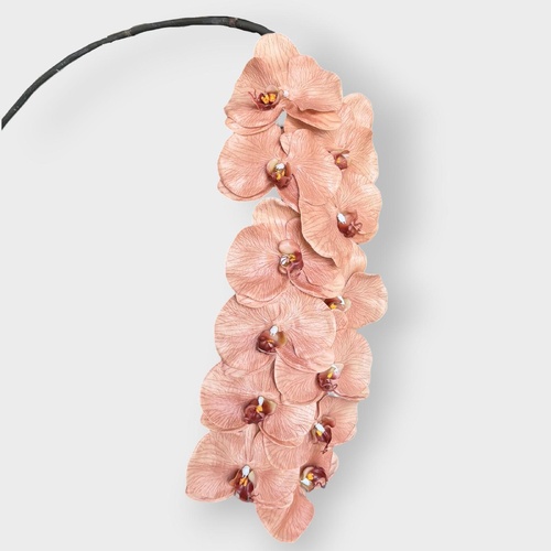 Phalaenopsis Orchid Stem FS125BN