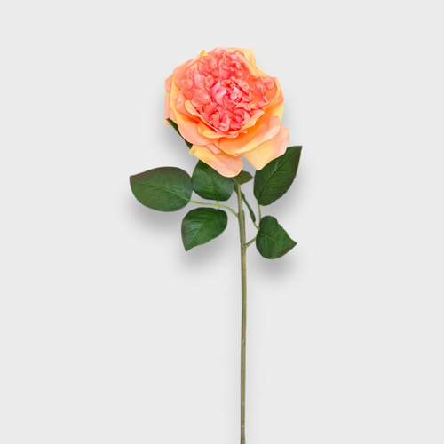 Real Touch David Austin Rose FS132OR