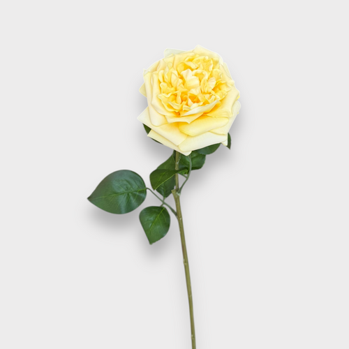 Real Touch David Austin Rose FS132YW