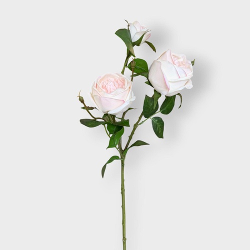 Real Touch David Austin Rose Spray FS133PKCR
