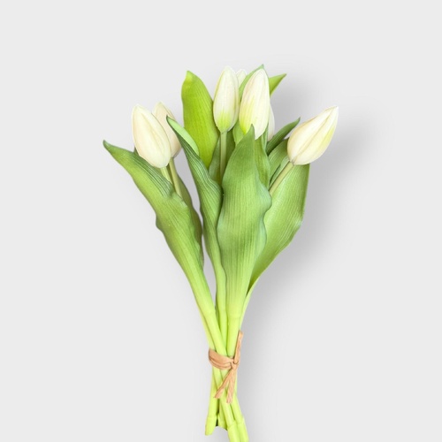 Tulip Bud Bundle FS166WH