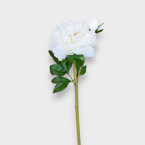 Peony Festiva Spray FS173WH