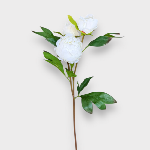 Peony Bud Spray FS174WH