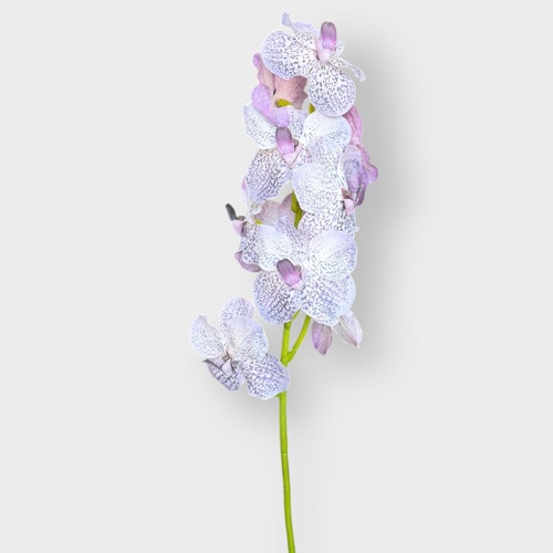Vanda Orchid FS194LI