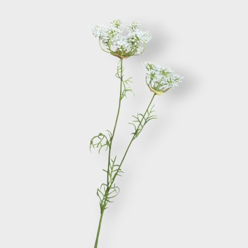 Queen Anne Lace Spray FSP018WH