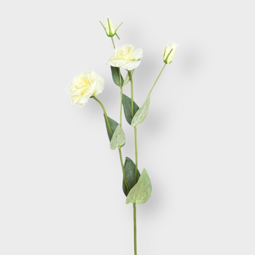 Lisianthus Spray FSP021SFYW