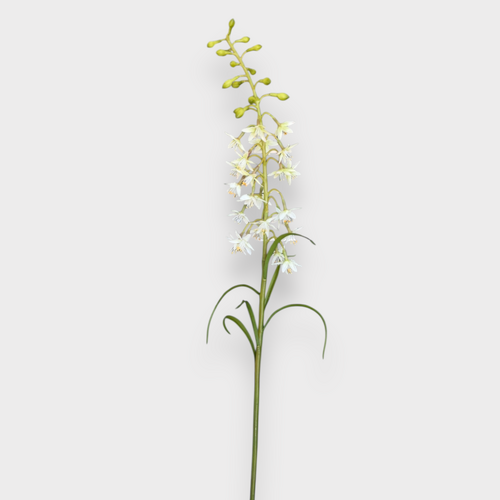 Mini Delphinium Stem FSP022WH