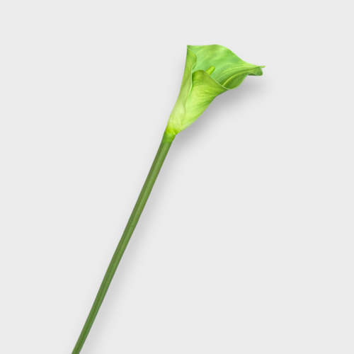 Calla Lily 81cm FSP030GN