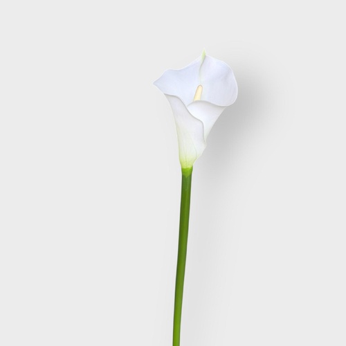 Calla Lily 81cm FSP030WH