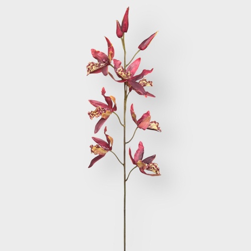 Orchid Oncidium Stem FSP033RD