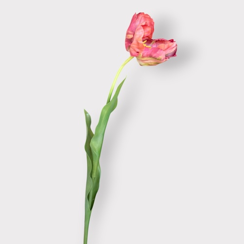 Tulip Artist Stem FSP037BT