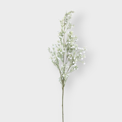 Baby's Breath G111WH