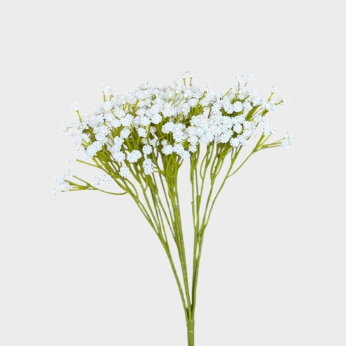 Baby's Breath Bunch G128W