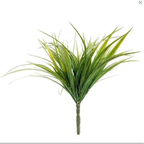 GRASS PLANT G48LG