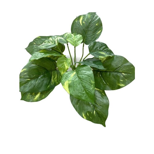 Pothos Bush GD0004-GRN