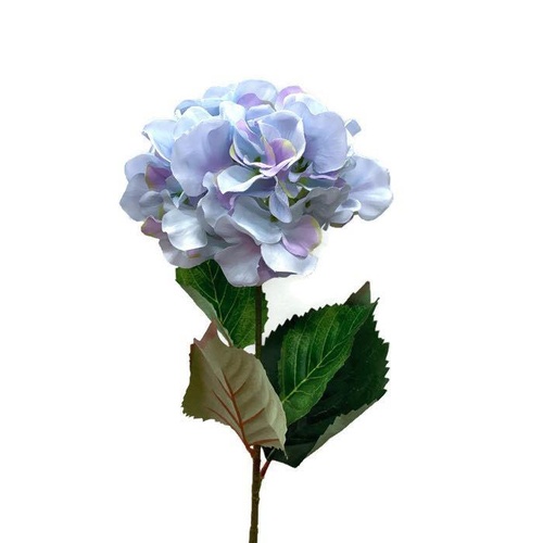 Single Hydrangea GF20011-BL