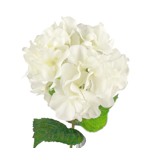 Single Hydrangea GF20011-WH