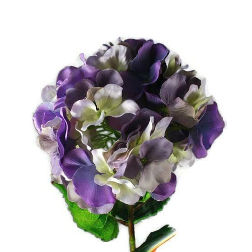 Single Hydrangea GF20011